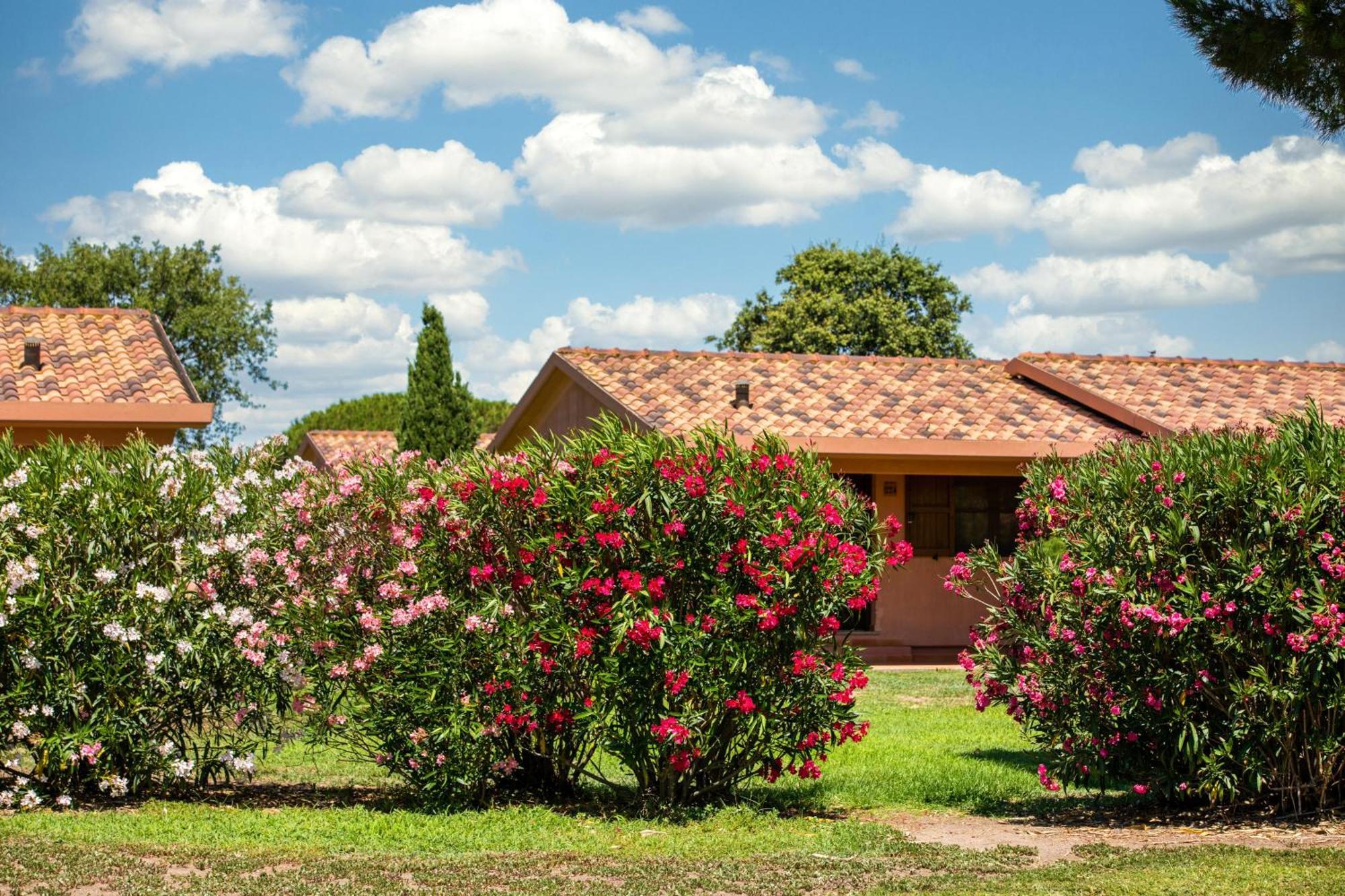 Gitavillage California Montalto di Castro Luaran gambar